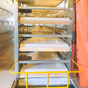 Bé lớp pullet Pin Chick Cage hệ thống cho Nigeria bán với phân vành đai - Product Image 2