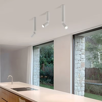 Focos LED de ángulo ajustable con poste largo, 15-60 grados, enfoque con zoom, luces empotradas para restaurante, lámpara de techo para sala de estar y pasillo