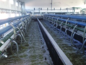 Ngập nước xử lý nước thải lọc nước NSF chứng nhận SVS-2580/SVM-2580 <span class=keywords><strong>MBR</strong></span> UF (siêu lọc) màng mô-đun - Product Image 5