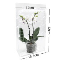 Phalaenopsis Semis Pot De Fleur En Plastique Shell Emballage PET Blister Boîte pour Fleur Transport Protection pour Jardin Maison