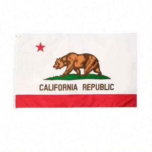 Bandera Nacional de Poliéster de 3x5 Pies con Logotipo Personalizado de Estados Unidos, Texas, Chicago, Hawái, Impresión Personalizada para Todo el Mundo, Estilo Portátil para Colgar - Product Image 4
