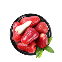 Voedingsmiddelenklasse hoogwaardig fruitextract oplosmiddel-extractie concentraat sappoeder vitamine was appelpoeder