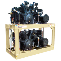 Compresseur d'air refroidi par air sans huile 30Bar | Air haute pression fiable pour les industries sensibles