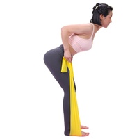 Bandas de Resistencia, Bandas Elásticas Profesionales Largas Sin Látex, Bandas de Ejercicio para Fisioterapia, Yoga, Pilates