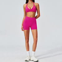 Ensemble de yoga sans couture en gros : soutiens-gorge tour de cou, shorts rehausseurs de hanches, ensemble d'entraînement Pilates pour femmes