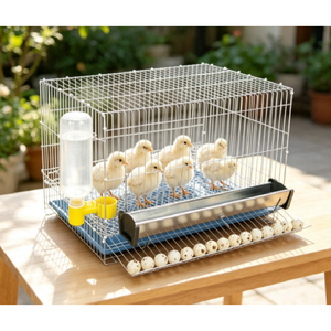 Sistema <span class=keywords><strong>de</strong></span> Jaulas Modulares Resistentes a la Oxidación para el Transporte <span class=keywords><strong>de</strong></span> Huevos <span class=keywords><strong>de</strong></span> Aves, Diseñado para una Gestión Agrícola <span class=keywords><strong>de</strong></span> Alta Eficiencia - Product Image 3