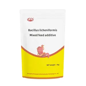 جودة جيدة درجة تغذية البكتيريا البروباتيكية Bacillus licheniformis حماية تغذية وتغذية الحيوانات في المزرعة