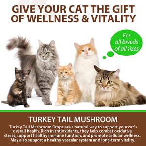 Oimmal Liquid Mushroom Drops <strong>Supplements</strong> 60ml <strong>Pet</strong> <strong>Supplement</strong> Immune Support Mushroom Liquid Drops - Product Image 2