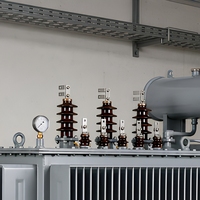 Transformateur immergé dans l'huile S22 avec enroulement en cuivre sans oxygène pour systèmes de distribution d'énergie industrielle 10 kV