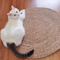 Griffoir pour chat moderne de luxe en rotin écologique pliable avec design résistant à l'abrasion pour la maison, marque privée
