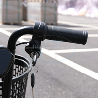 Nouveau Style 36V 48V vélo pliant électrique unisexe alliage aluminium ville vélo scooter avec 3 roues