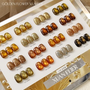 Ensemble de vernis gel sans rinçage 16 couleurs, effet œil de chat doré et floral, avec perles de verre marron <span class=keywords><strong>caramel</strong></span>, gel magnétique, pour usage professionnel en salon - Product Image 2