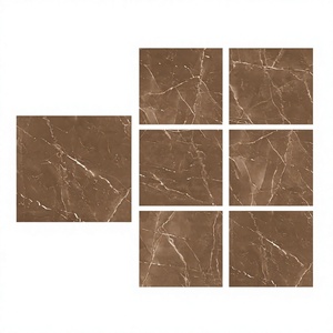 Leida Bianco 800x800mm Porcelain Polished Glazed Floor Tiles Outdoor Bathroom Modern - Product Image 2