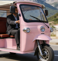 Tricycle électrique certifié EEC pour 6 passagers, auto-rickshaw électrique, batterie LiPO4 72V 250Ah, vitesse maximale de 45 km/h