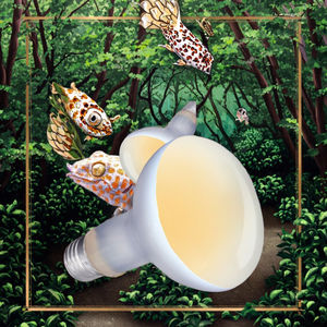 Lampada Fluorescente <span class=keywords><strong>UVB</strong></span> E27 a Lunga Durata per Animali Domestici, Riscaldatore <span class=keywords><strong>UVB</strong></span> con Vapore per Rettili, Anfibi e Tartarughe - Product Image 3