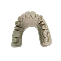 JS ADD SLM titane impression 3D dents dentaires moule métal SLM extrusion dentaire impression 3d moule de souris