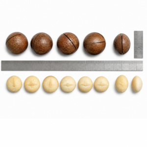 <span class=keywords><strong>Noci</strong></span> di Macadamia all'Ingrosso, <span class=keywords><strong>Noci</strong></span> di Macadamia al Cioccolato, Snack Dolce, <span class=keywords><strong>Noci</strong></span> di Macadamia 1kg Grado Premium A Senza Guscio, <span class=keywords><strong>Prezzo</strong></span> di Fabbrica - Product Image 2
