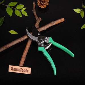 Ciseaux spéciaux de petite taille pour la taille et la mise en forme des bonsaïs, en acier inoxydable, pour couper les branches - Product Image 6