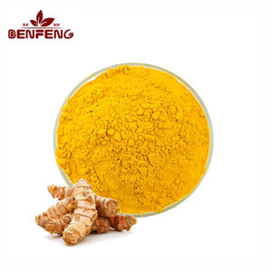 Высокое качество, экстракт корня куркумы, порошок, чистый натуральный куркумин, 95% оптом - Product Image 2