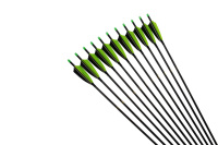 Flèches en carbone pur Pinals pour la chasse à l'arc recurve et à l'arc composé, ID 5,8 mm, 31 pouces, Spine 300