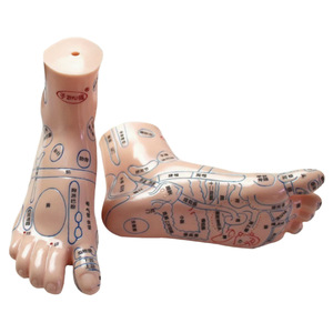 Modèle de réflexologie plantaire Dongye Foot Massager 20cm en PVC pour l'enseignement et la thérapie - Product Image 3