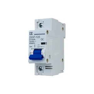 Mini Dz47-125 Elektrische Miniatuur Stroomonderbrekers Ac/Dc Mcb Met 1P 220V 240V 415V 1a 2a 6a 10a 16a 20a 25a 50a 63a Capaciteit