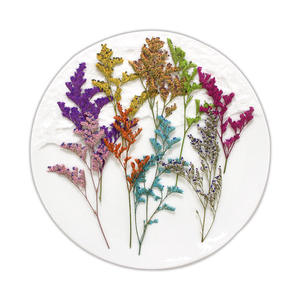 Fleurs Floral Résine Époxy <span class=keywords><strong>Tige</strong></span> Avec Branches Pression Positive Résine Moule Peinture Plante Naturelle Véritable Fleur Pressée - Product Image 5