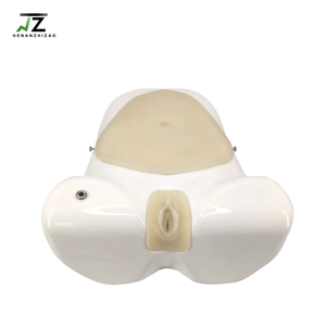 רפואי מדע היסטרוסקופיה סימולציה אימון מכשיר להוראה אדם דגם של גינקולוגיות hysteroscopic ניתוח - Product Image 2