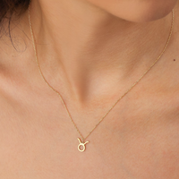Collier pendentif personnalisé en argent sterling plaqué or 18 carats avec douze signes du zodiaque et astrologie Collier simple en argent sterling 925