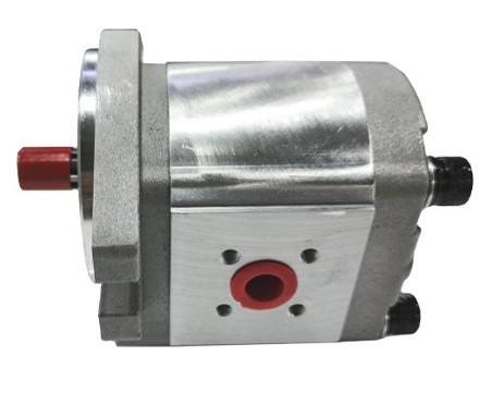 Gear Pump X1P X2P X1P3101FBBA X1P2901FBBA X1P2701FBBA X1P2501FBBA X1P2301FBBA X1P2101FBBA X1P2001FBBA Hydraulic Gear Pump