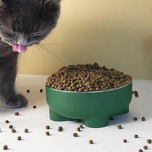 Mangkuk piaraan baja tahan karat penggunaan ganda, aksesori perjalanan mewah antiselip untuk makanan kucing dan anjing dan air bak ukuran kecil untuk hewan - Product Image 2