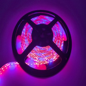 Nhà máy phát triển dải ánh sáng 2835 SMD IP65/20 không thấm nước quang phổ đầy đủ dẫn ánh sáng cho các nhà máy trong nhà, nhà kính, hồ cá, hoa & Veg - Product Image 3