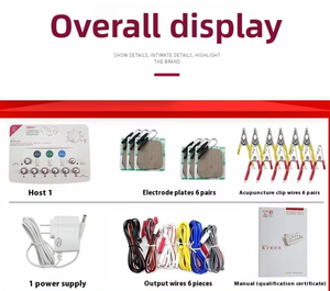 SDZ-II enam arah alat elektronik akupunktur, peralatan fisioterapi pijat Meridian EMS - Product Image 2