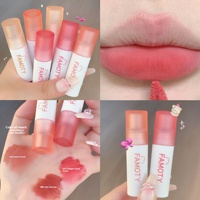 Brillant à lèvres liquide mat Rouge à lèvres velours minéral longue durée Baume à lèvres non collant à haute teneur en pigment Marque privée Maquillage avec logo personnalisé