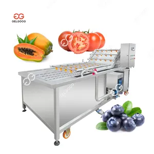 Automatic Ozone Bubble Vegetable And Citrus Fruit Oranges Papaya Washing Equipment Tomato Washer Blueberry Cleaning Machine