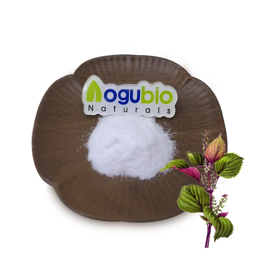 Aogubio Supply bubuk Sclareolide alami ekstrak daun Perilla 98% bubuk Sclareolide
