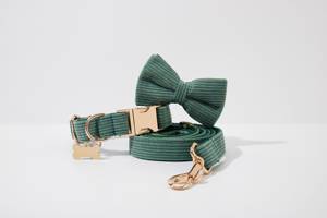 Laisse de chien en velours côtelé vert forêt. Étape pour chien fille. Chiot à nœud personnalisé. Ensemble harnais et laisse pour collier de chien - Product Image 5