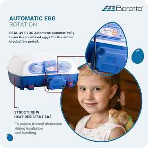Incubadora de tamaño mediano Borotto 196 pequeños huevos de codorniz Real 49 Plus incubadora de huevos profesional automática exportadores hechos en Italia - Product Image 4