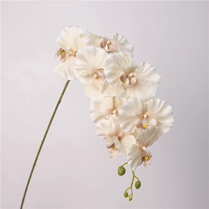 ดอกกล้วยไม้ฟาแลนนอปซิส 9 หัว ยี่ห้อ Haiyi ดอกไม้ประดิษฐ์จากผ้าไหม สำหรับตกแต่งงานแต่งงานและบ้าน - Product Image 3