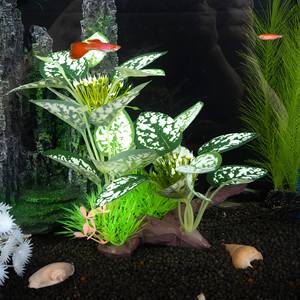 Gesimuleerde Waterplanten Schildpad Tank Decoratie Aquarium Aquarium Pe Drijfhout Waterkruid Hotel Ornamenten Bloemen Modern - Product Image 2