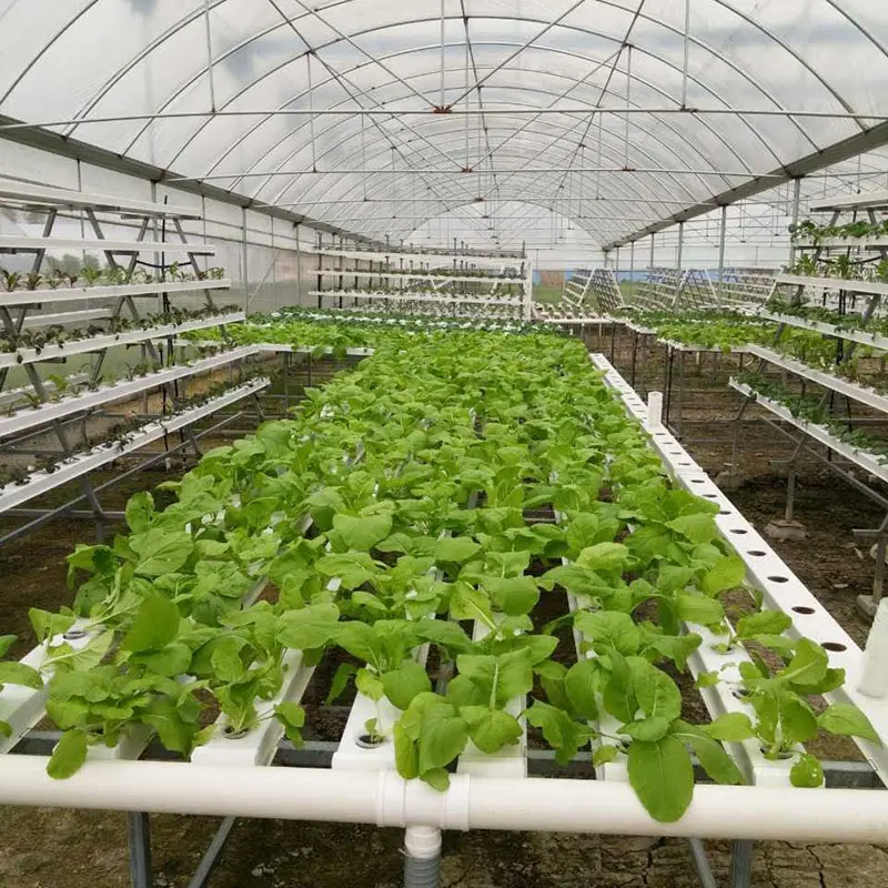 nft hydroponics system agriculture greenhouse