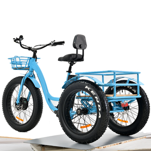 Pneumatico grasso trike elettrico altre <span class=keywords><strong>bici</strong></span> cargo city road e bike <span class=keywords><strong>con</strong></span> cestello posteriore Max 200kgs - Product Image 1