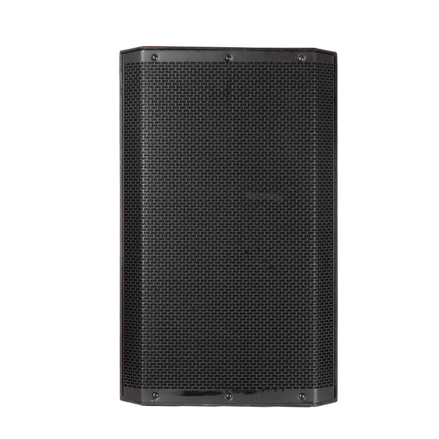 Professional 1000W TWS Loudspeaker Bluetooth PA Speaker for Live Events & DJ Gigs