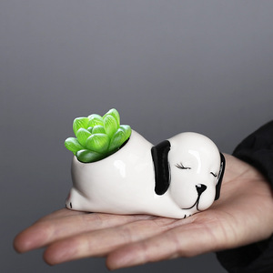 Mini pot de <span class=keywords><strong>cactus</strong></span> et de plantes succulentes au design d'animaux de dessin animé, décoration de bureau XN00403 - Product Image 2