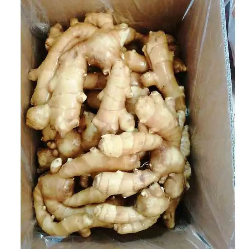 Fresh Ginger From Chinese Supplier Dried Ginger wholesale price