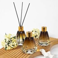 Soleil Vente Chaude Ambre 60ml Personnalisé Imprimé Vide Air Frais Unique Reed Diffuseur Bouteille pour La Maison Chambre Parfum Parfum Décoration