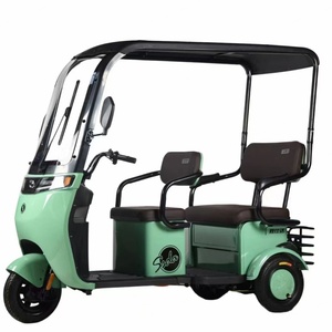Nouveau tricycle électrique pour adultes, E-Trike, vélo cargo à 3 roues, moto pour passagers, tricycles électriques pour adultes avec toit - Product Image 3