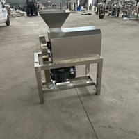 Industriële fruitverwerkingsinstallaties automatische tomaten- en mangopureermachine met enkele/dubbele kanaal fruitpulper