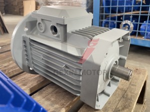 เครื่องกำเนิดไฟฟ้ากระแสสลับ 15 กิโลวัตต์ รอบต่ำ แบบเหนี่ยวนำสามเฟส 3 มอเตอร์ - Product Image 4