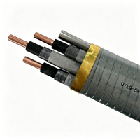 Cable ESP de Media Tensión QYEQ, Conductor de Cobre, Resistente a la Corrosión por Petróleo y Gas, Cable para Pozos, Clasificación IP65, 5kV